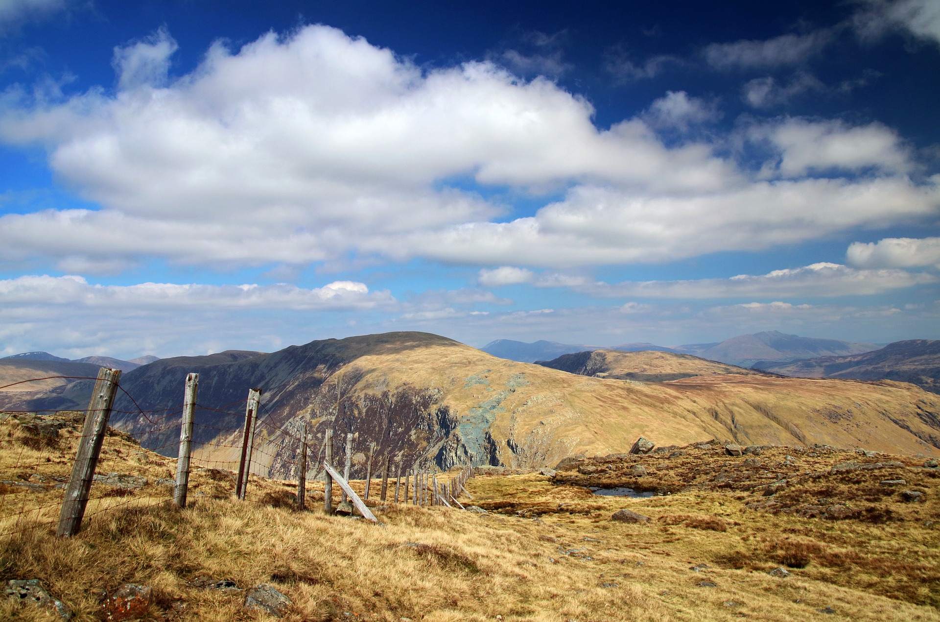 uk-farmland-tax-breaks-revealed-arc2020